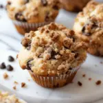 Chocolate Chip Crumb Cake Muffins